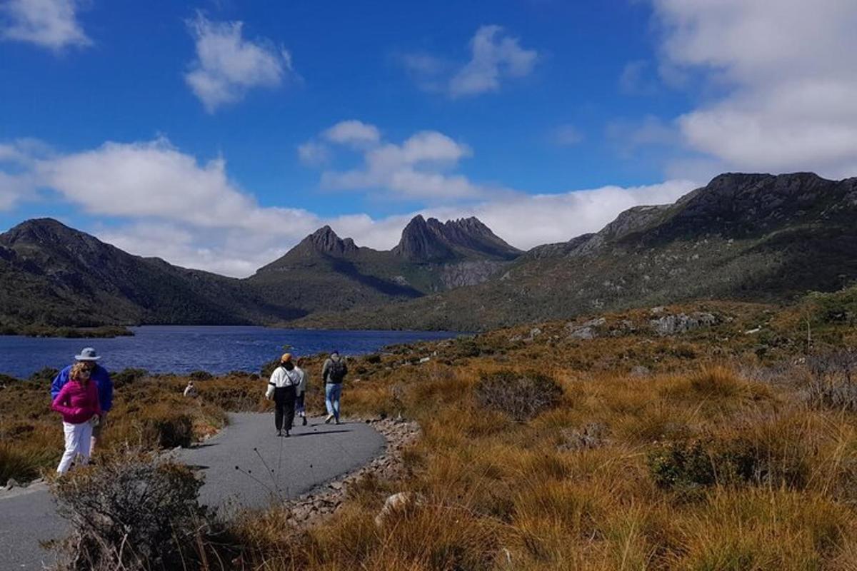 a group of people walking down a path near a lake