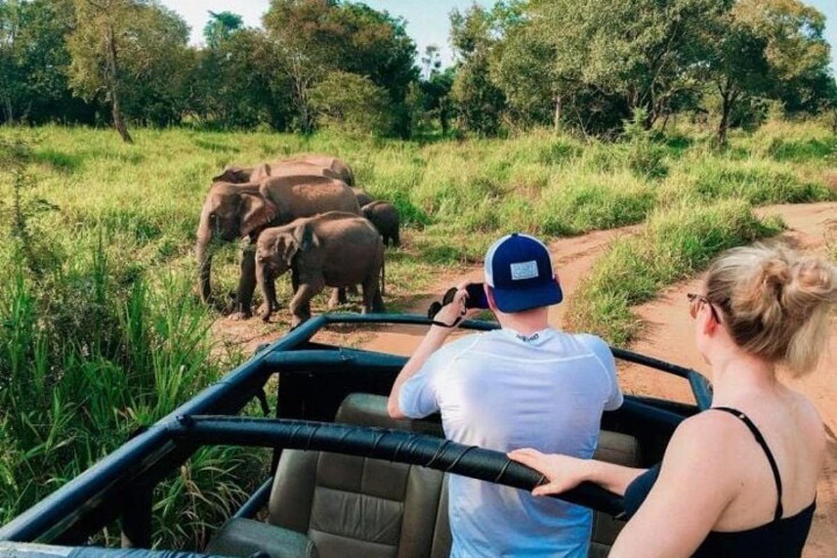 un uomo e una donna che scattano una foto a una mandria di elefanti