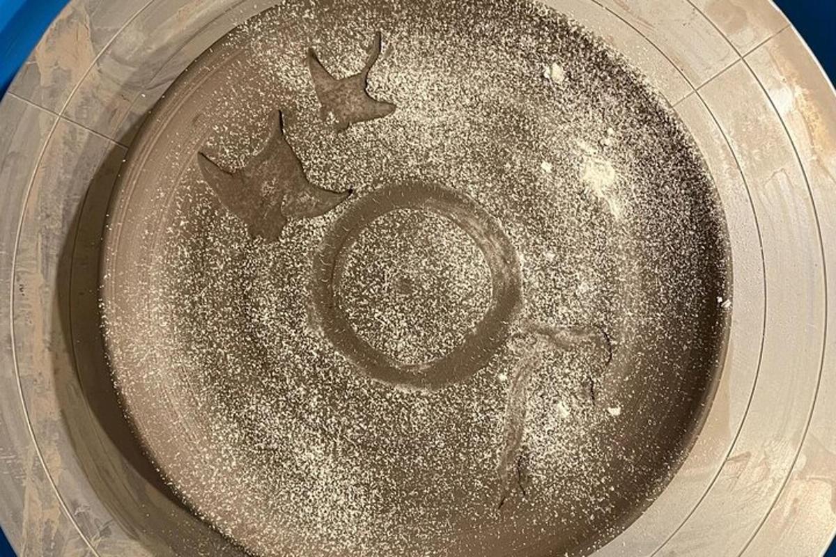 lähivõte frisbeest, millel on täht q