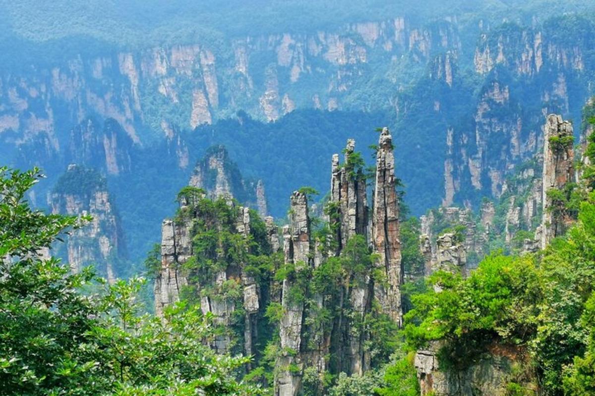 uma vista de uma montanha com árvores e pedras