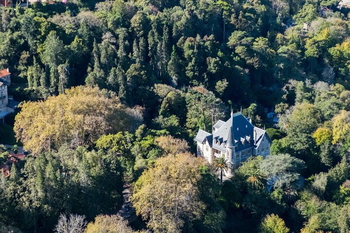 una vista aérea de una casa en medio de un bosque