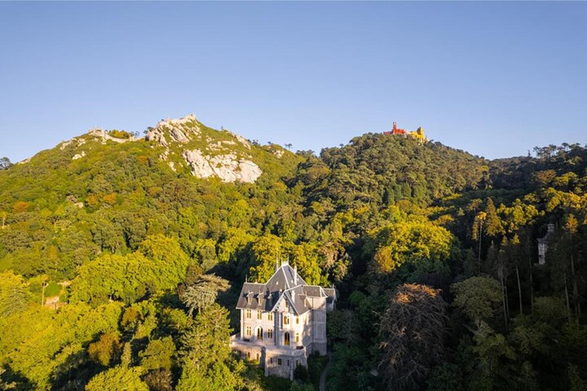 una casa vieja en medio de un bosque