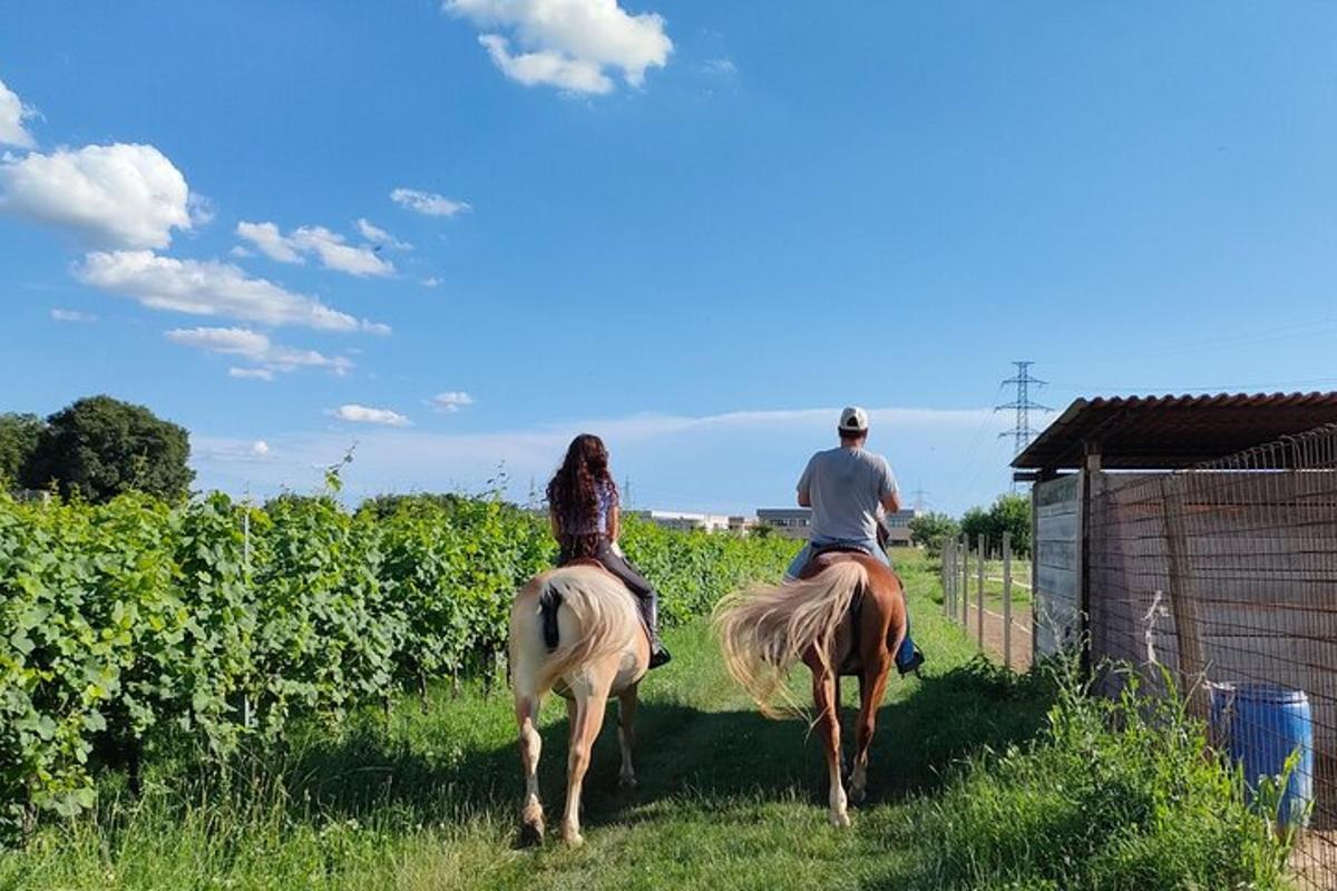 мушкарац и жена јашу коње на пољу