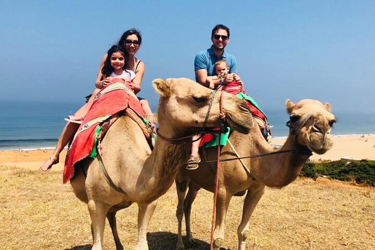 a group of people riding on the backs of camels on the beach