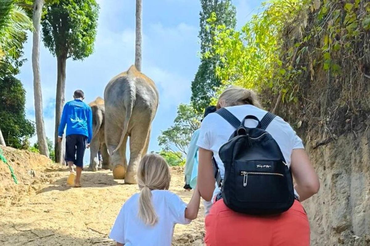 en kvinne og en liten jente som ser på en elefant