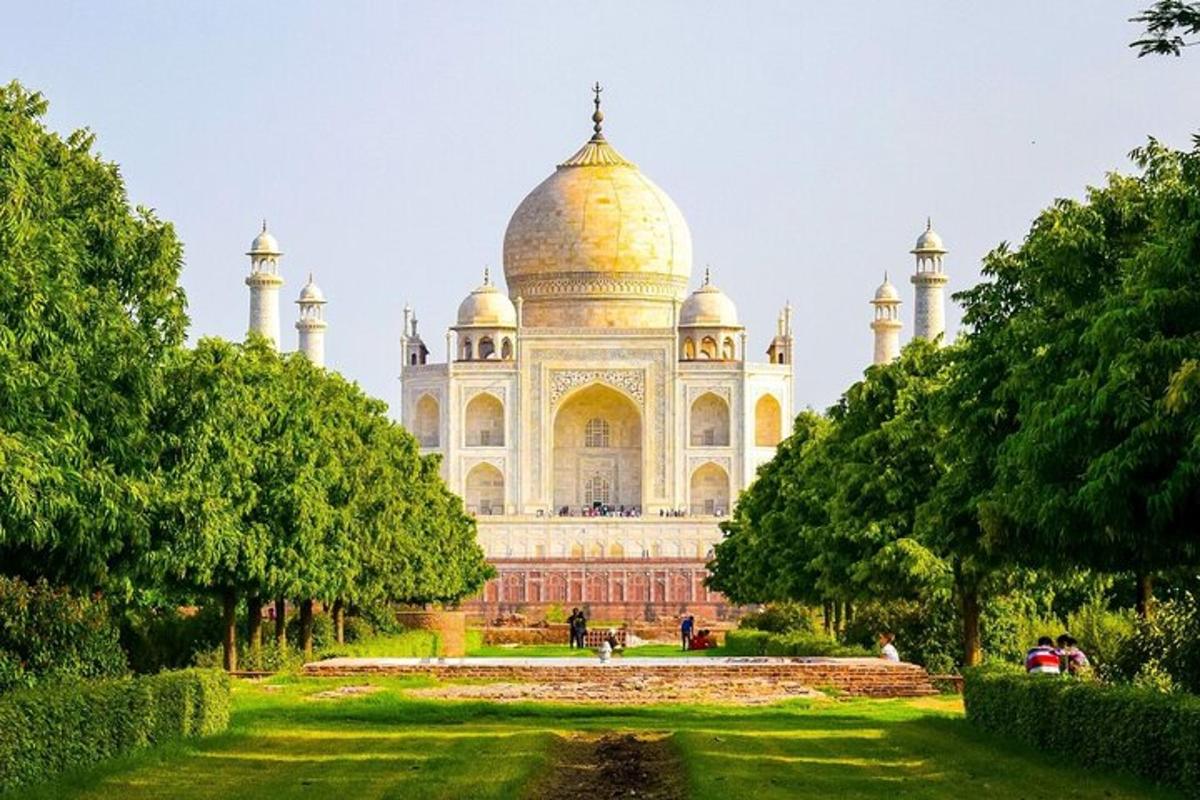 a view of the taj mahal with trees in front