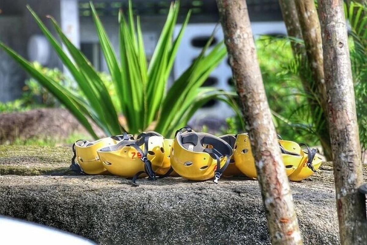 a group of bananas sitting on top of a rock