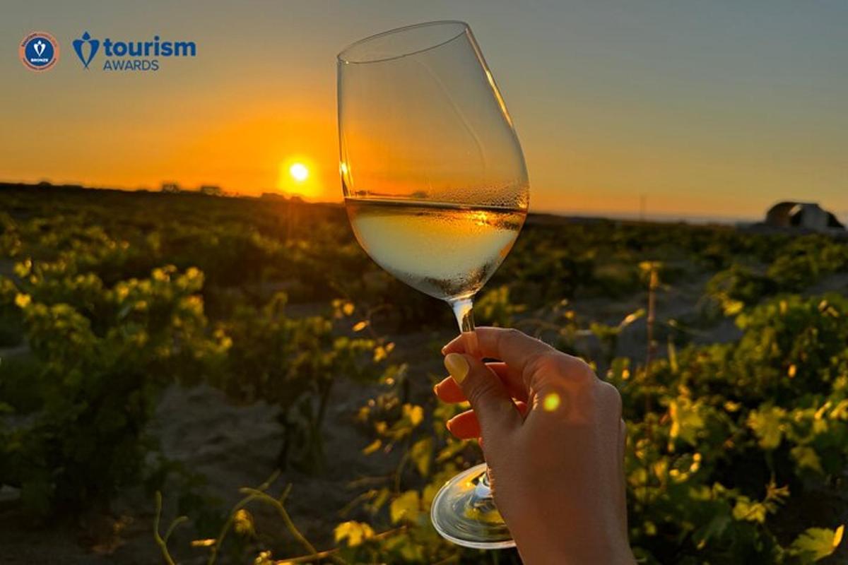 osoba koja drži čašu vina ispred zalaska sunca