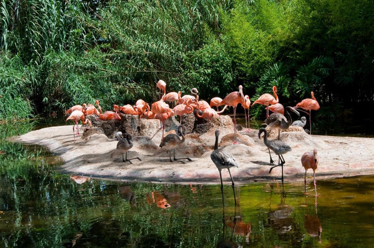 Attraction picture 7