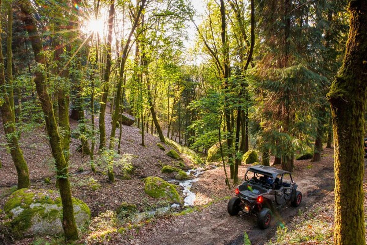 an atv parked on a trail in a forest