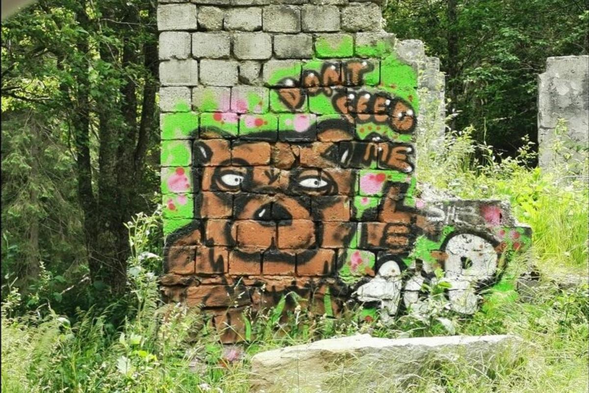 zeď pokrytá graffiti s medvědem