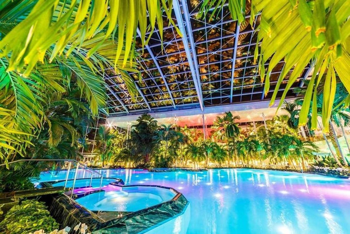 棕榈树度假村的大型游泳池