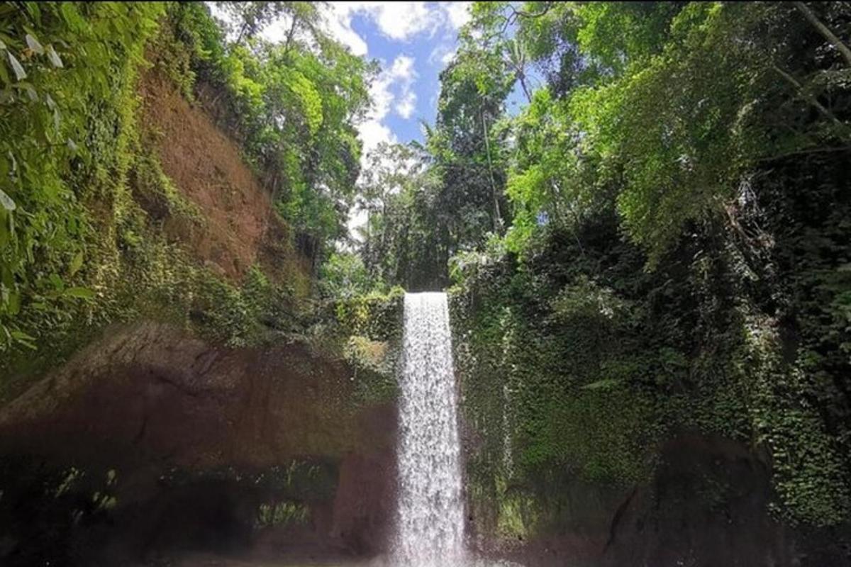 una cascata in mezzo a una foresta