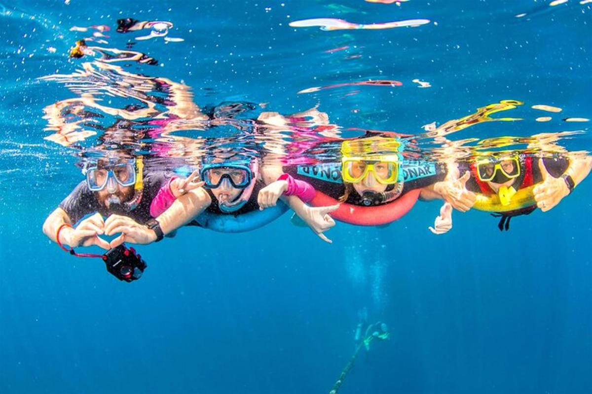 een groep mensen die in het water zwemmen