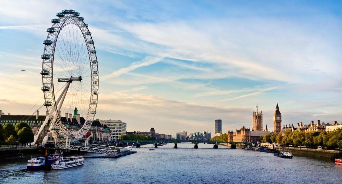 a ferris wheel on a river in a city