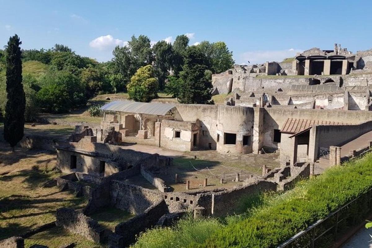 un gruppo di edifici in un campo con alberi