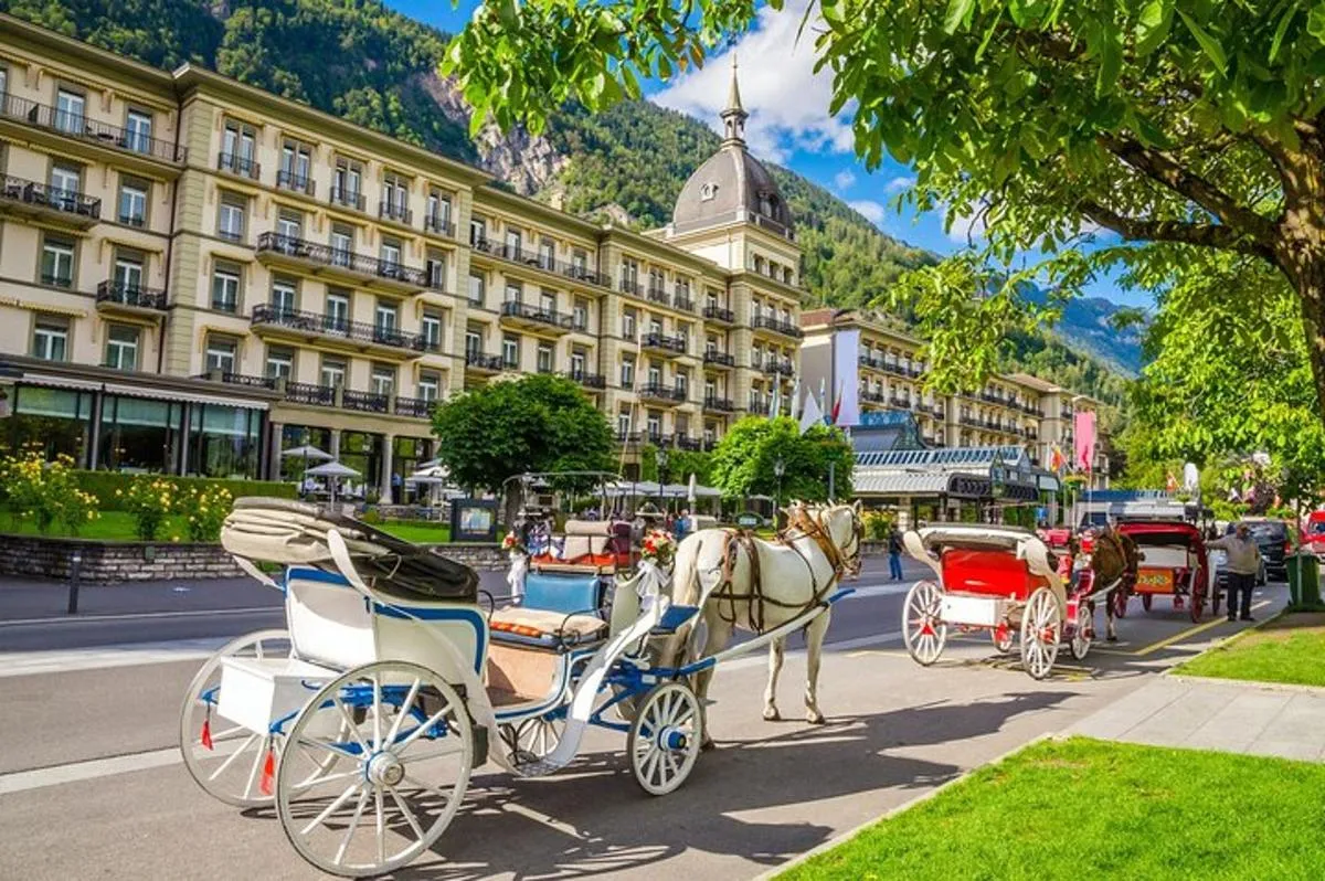 De Bâle: Visite privée d'Interlaken, croisière sur le lac, chutes de Giessbach – photo 5