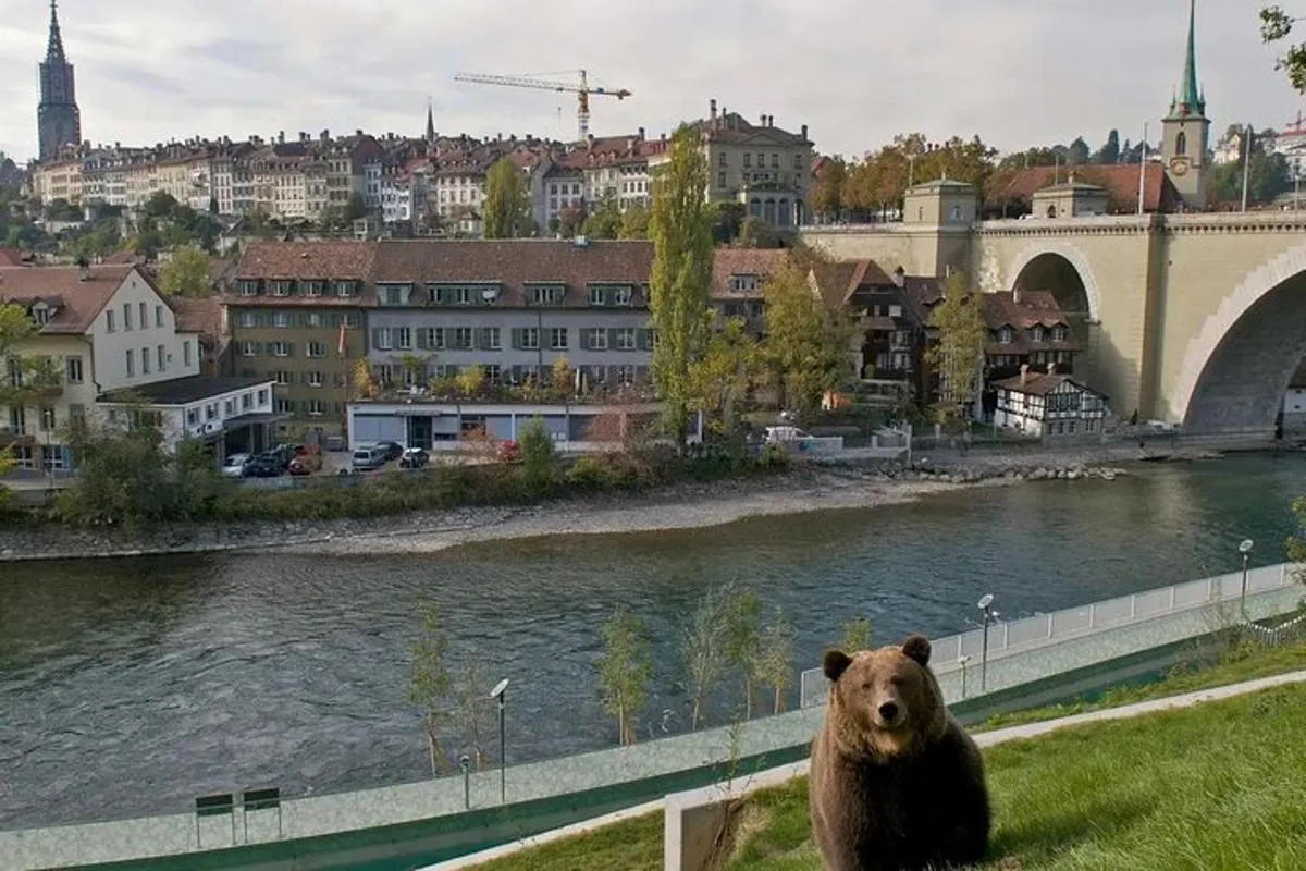 De Bâle: Excursion privée d'une journée à Berne avec dégustation de fromage – photo 6
