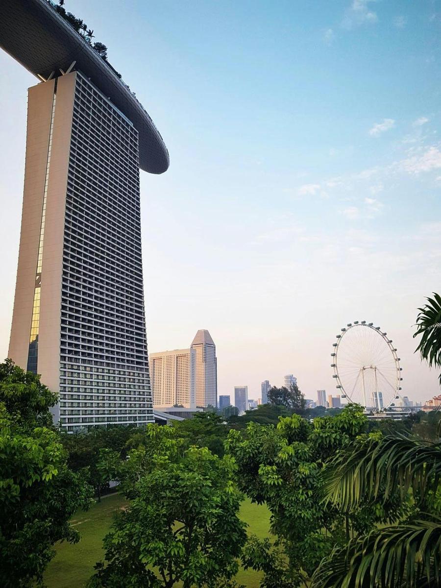 a view of a tall building and a ferris wheel