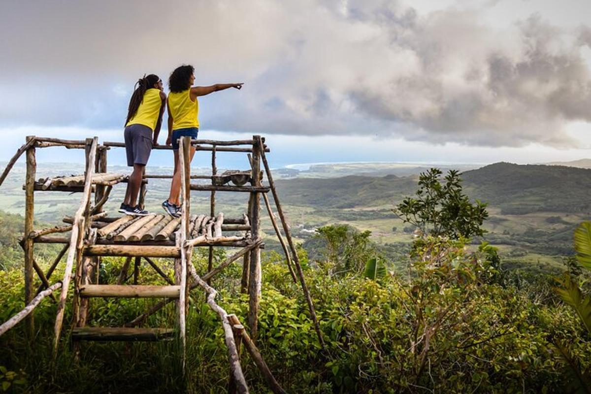 Dos personas de pie en una escalera en la cima de una montaña.
