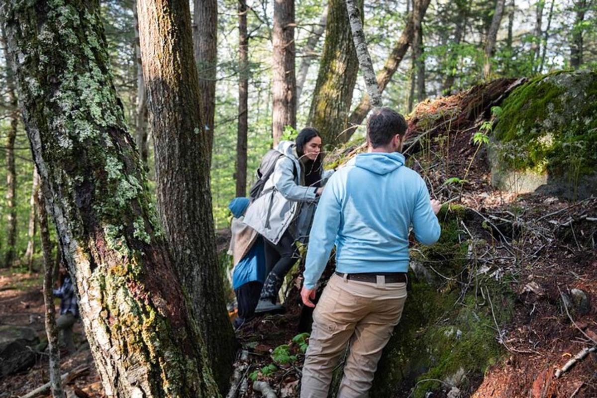 a group of people walking on a trail in the woods