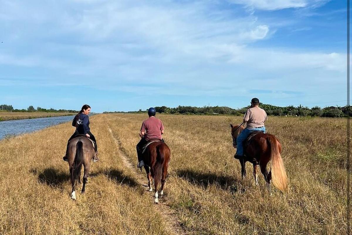 a group of three people riding horses in a field