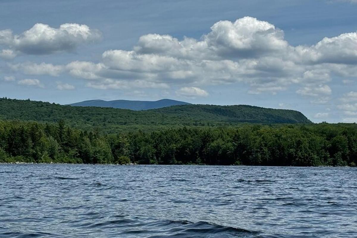 a large body of water with trees in the background