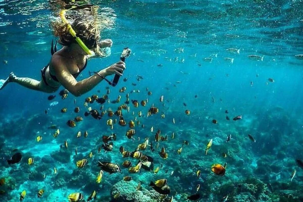 nainen vedessä snorkkelin ja kalaryhmän kanssa