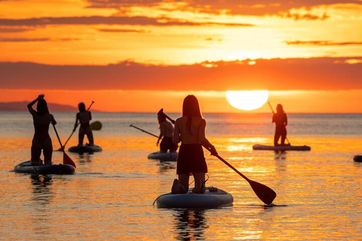 Un grupo de personas en tablas de paddle surf en el agua al atardecer