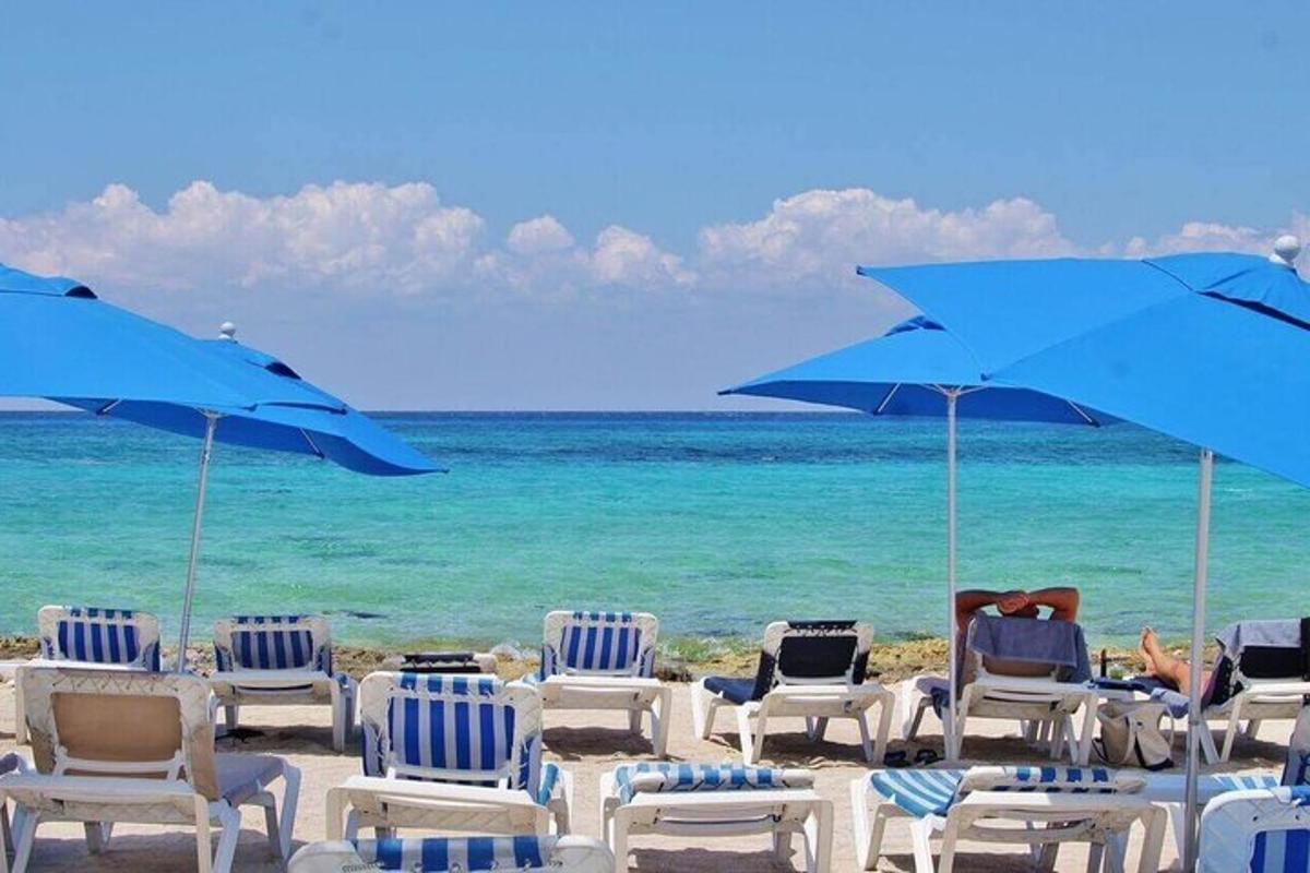 μια ομάδα καρεκλών και ομπρελών σε μια παραλία