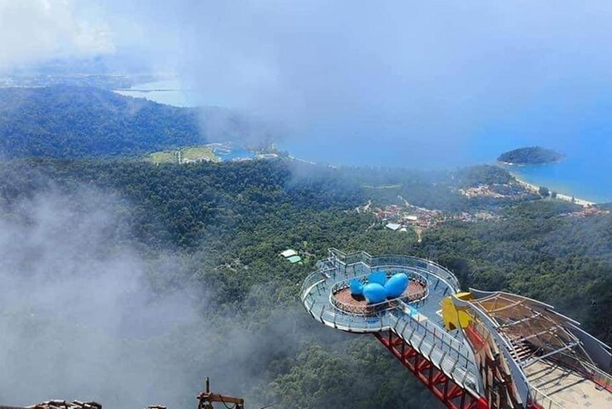 a roller coaster in the middle of a mountain