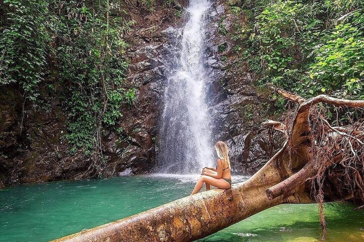 una donna seduta su un ramo di un albero di fronte a una cascata