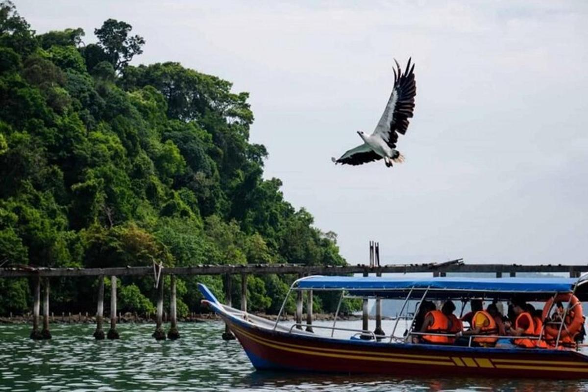 một con chim bay trên một chiếc thuyền trên mặt nước