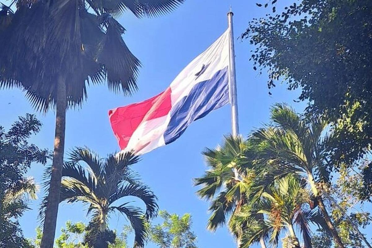 una bandiera che sventola davanti ad alcune palme