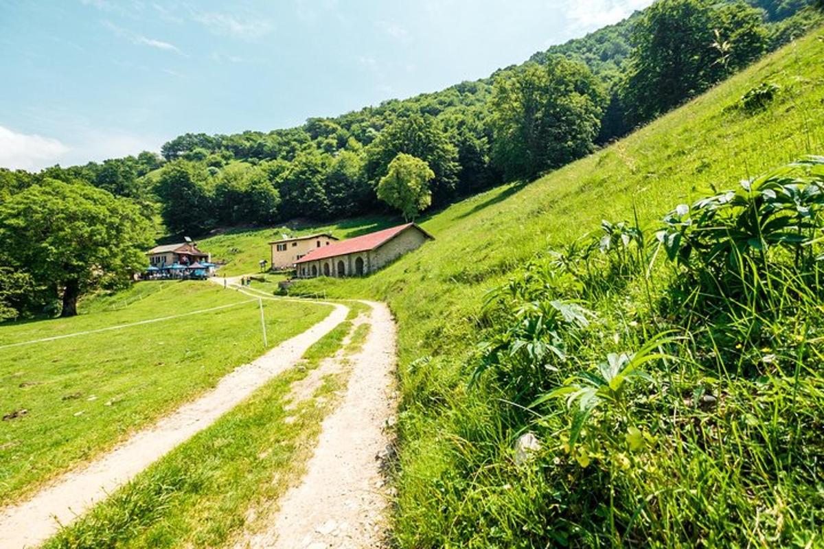 a dirt road in the middle of a green field