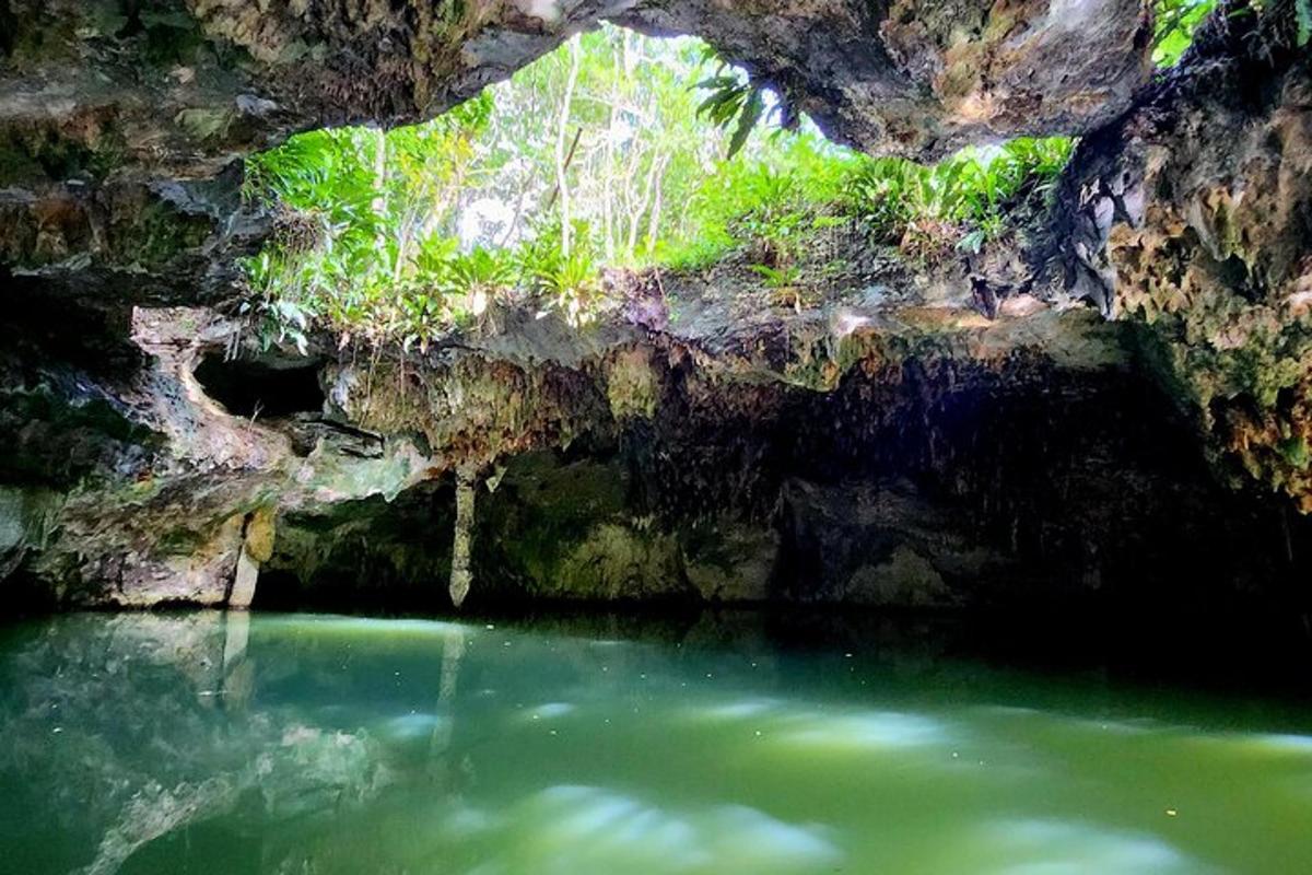 una grotta con una pozza d'acqua verde al suo interno