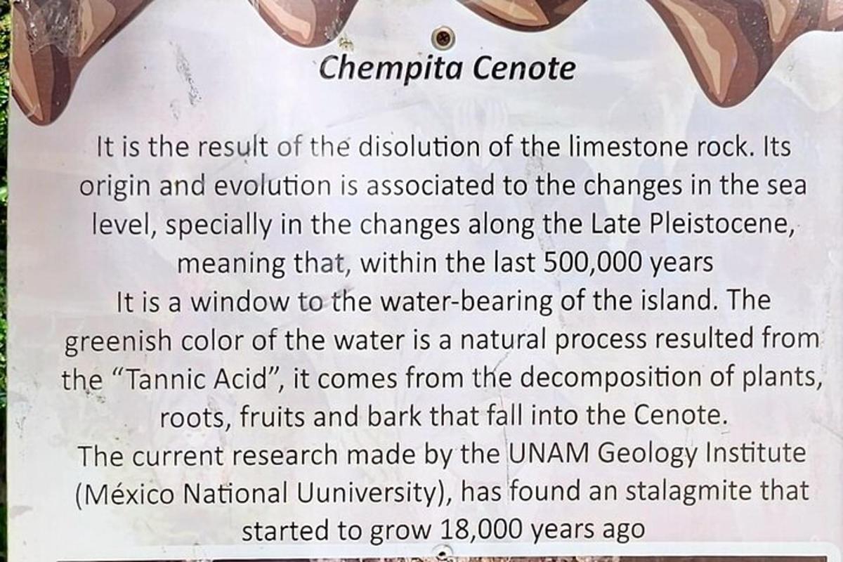 un segno per la culla chirmorfica alla fine del testo