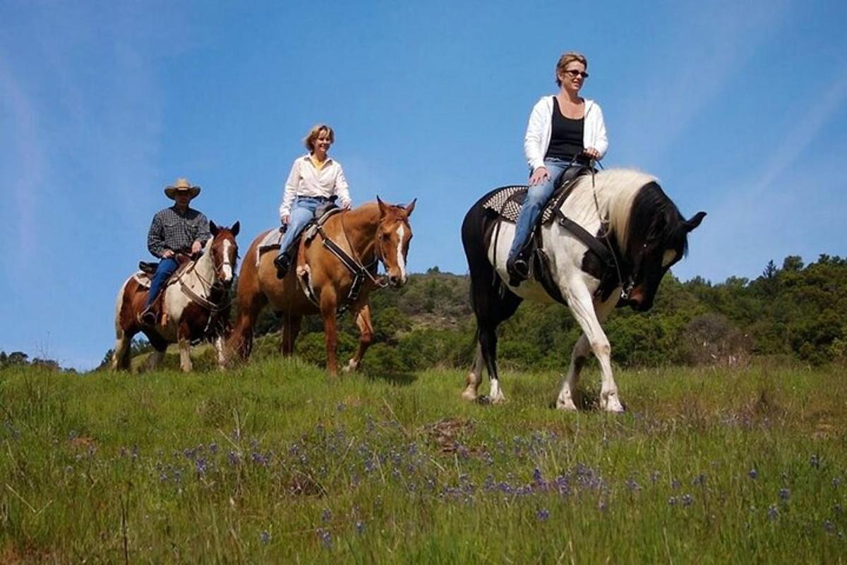 duas pessoas andando a cavalo em um campo