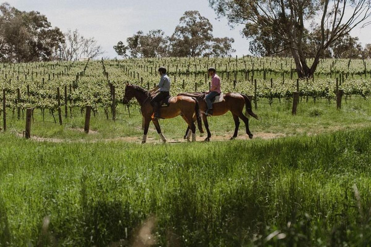 Dos personas montan a caballo en un campo.