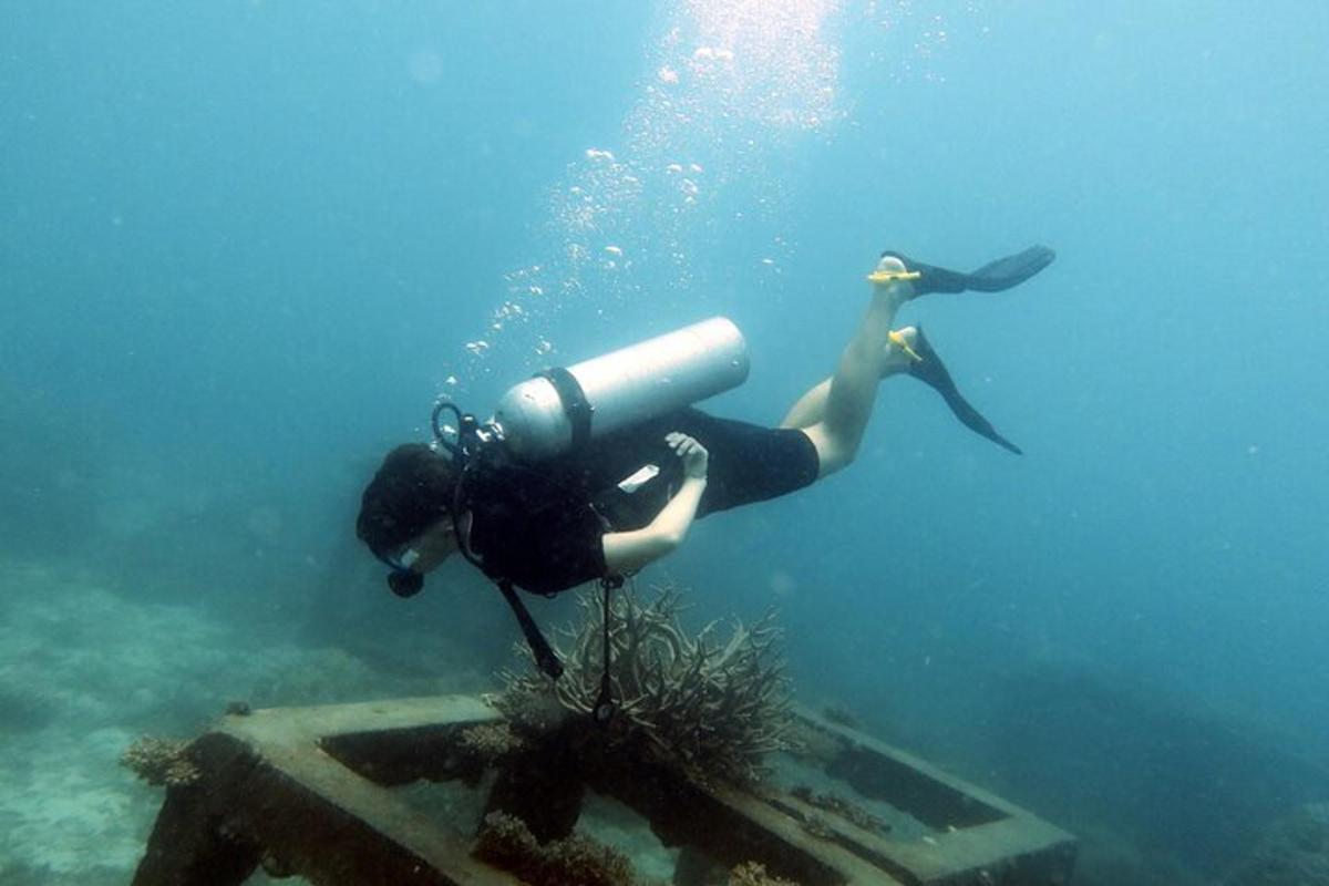 una persona che nuota nell'acqua con un bidone nell'oceano