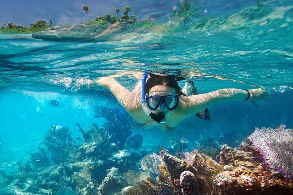 Una mujer nadando en el agua cerca de un arrecife de coral