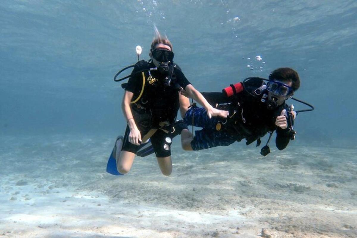 two people are diving in the water