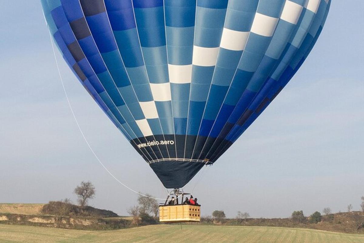 egy kék és fehér hőlégballon repül egy mező felett