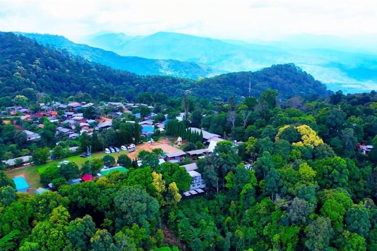 an aerial view of a park in the middle of a forest