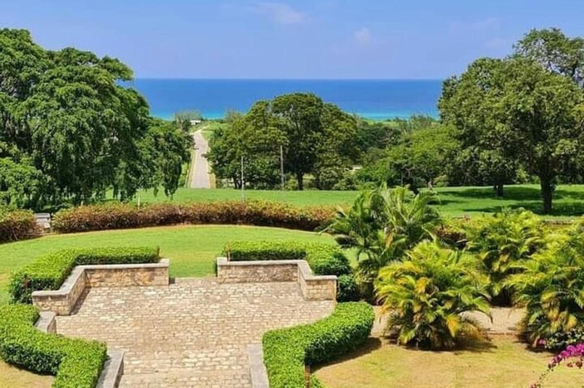 taman dengan laluan batu dan semak