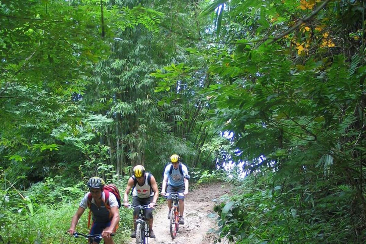 drei Personen fahren mit dem Fahrrad auf einem Pfad im Wald