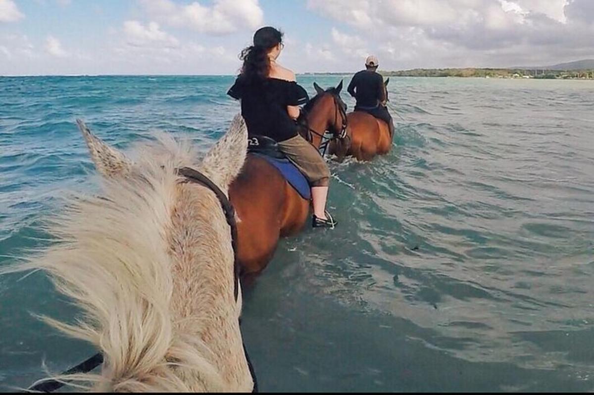 Dos personas están montando a caballo en el agua.