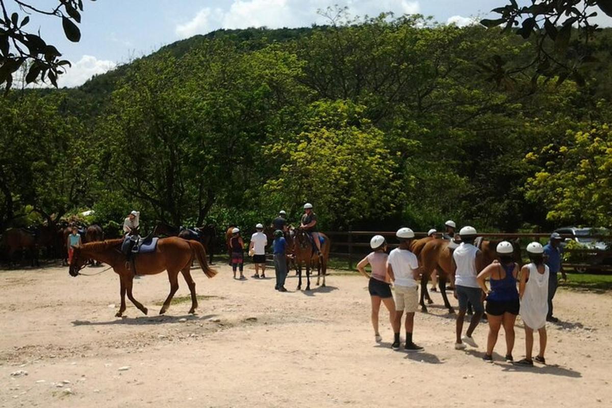 un gruppo di persone che guarda un gruppo di persone a cavallo