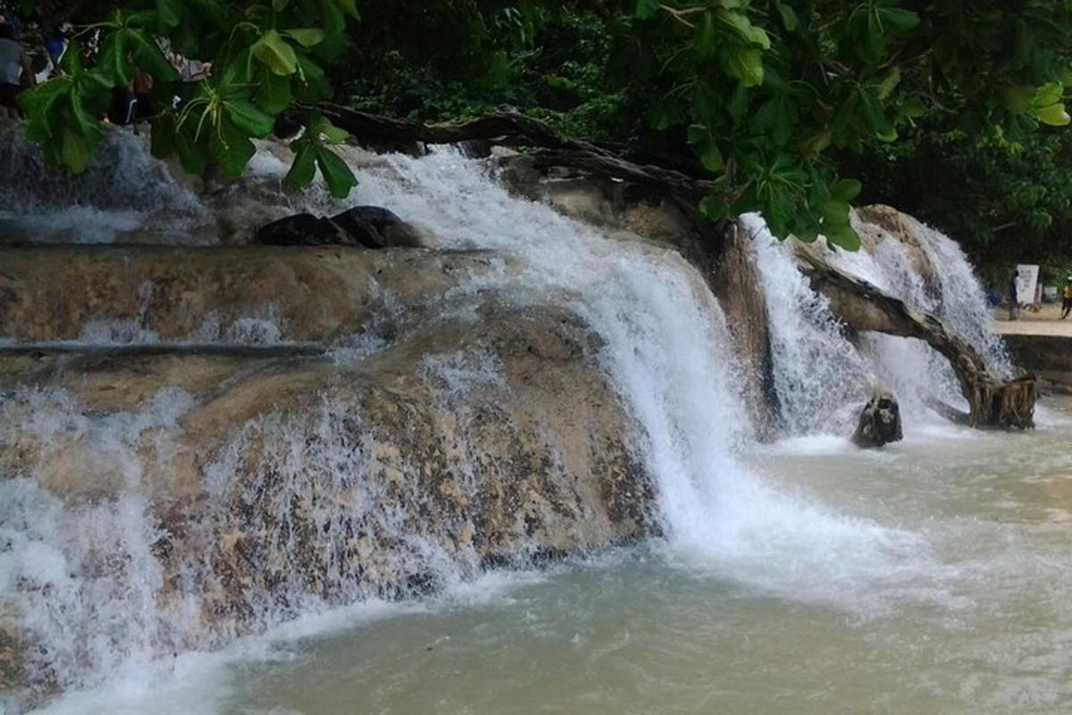 una cascata con due orsi nell'acqua