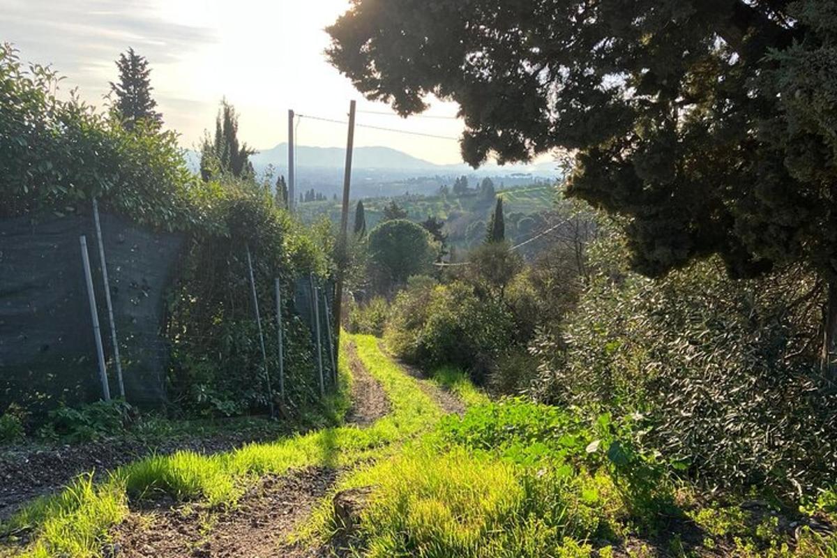 jalan tanah dengan pagar di atas bukit